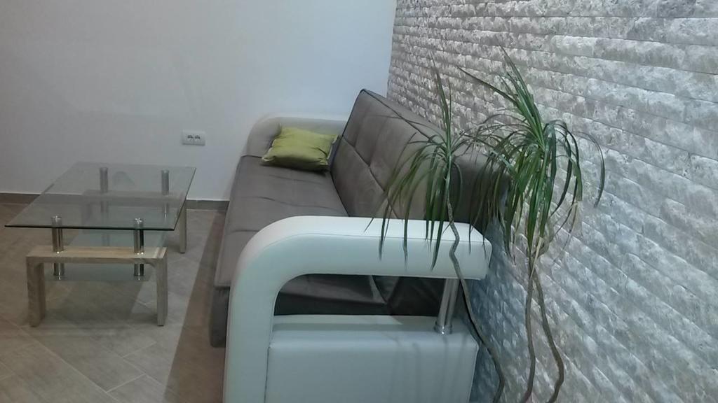Apartments Ponta コトル 部屋 写真